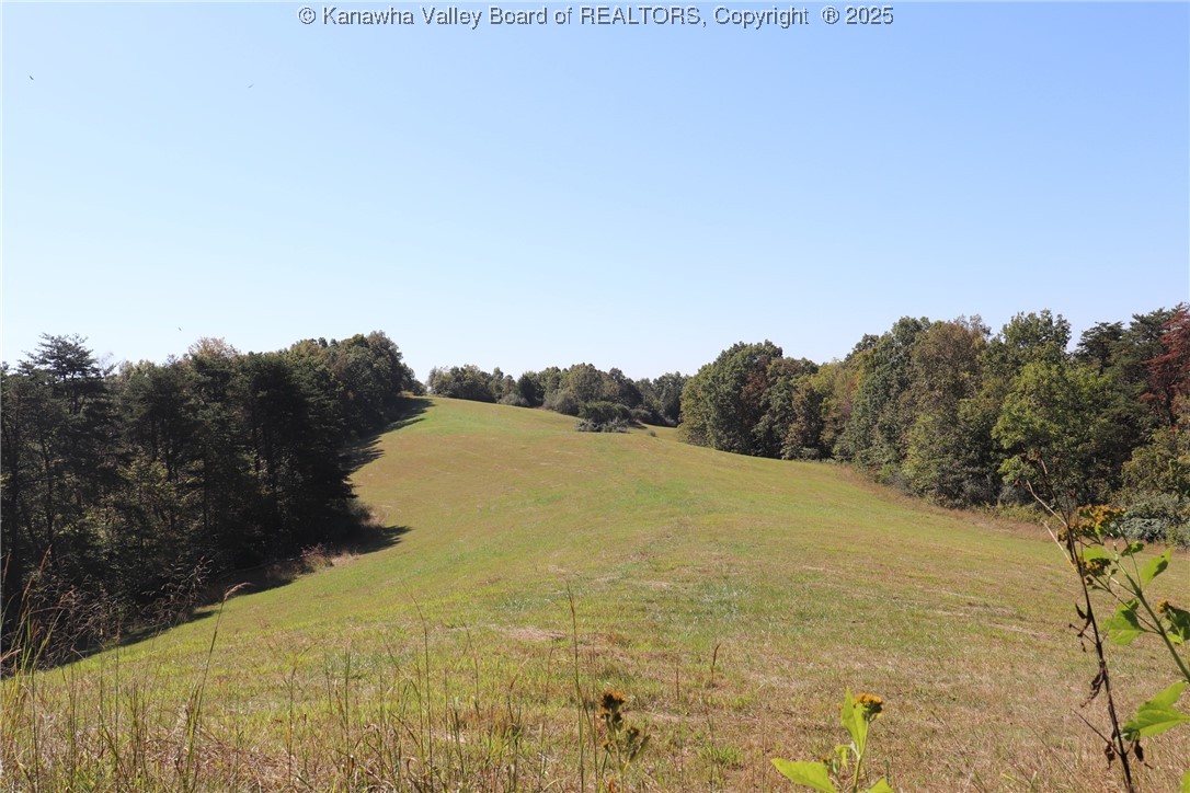 161 Cavender Drive Ripley, WV 25271 - Photo 46 of 50 Gallery Image 46