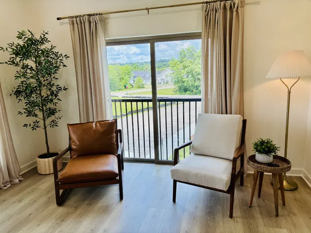 a living room with furniture and a potted plant