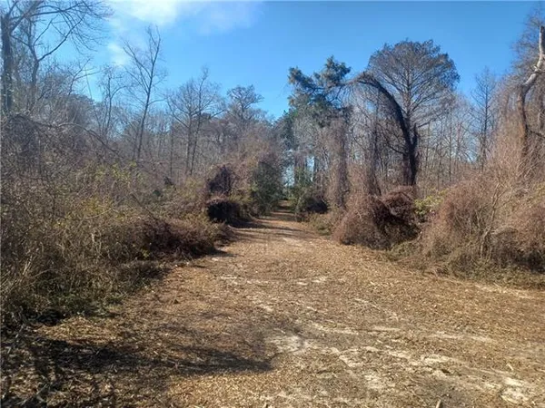 $75,000 | 0 Cypress Crest Lane, Ponchatoula, LA 70454