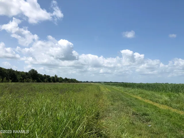 $590,000 | Tbd Tbd Trahan & Crochet Road, New Iberia, LA 70563