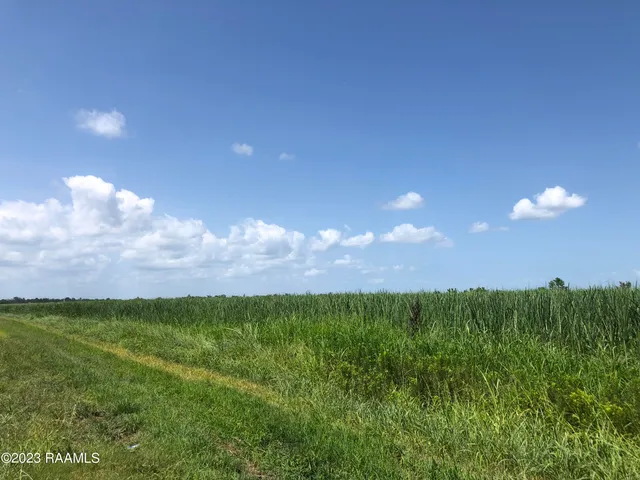 $590,000 | Tbd Tbd Trahan & Crochet Road, New Iberia, LA 70563