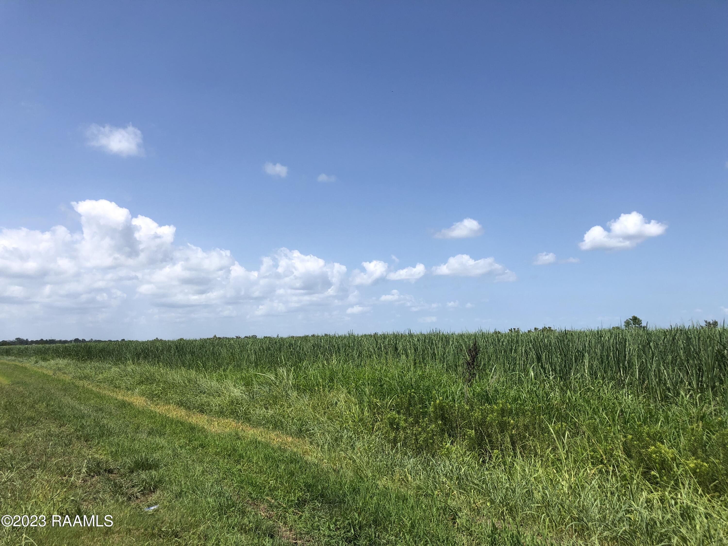 Tbd Tbd Trahan & Crochet Road New Iberia, LA 70563 - Photo 3 of 22 IMG_4417