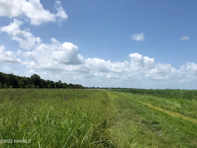 $590,000 | Tbd Tbd Trahan & Crochet Road, New Iberia, LA 70563