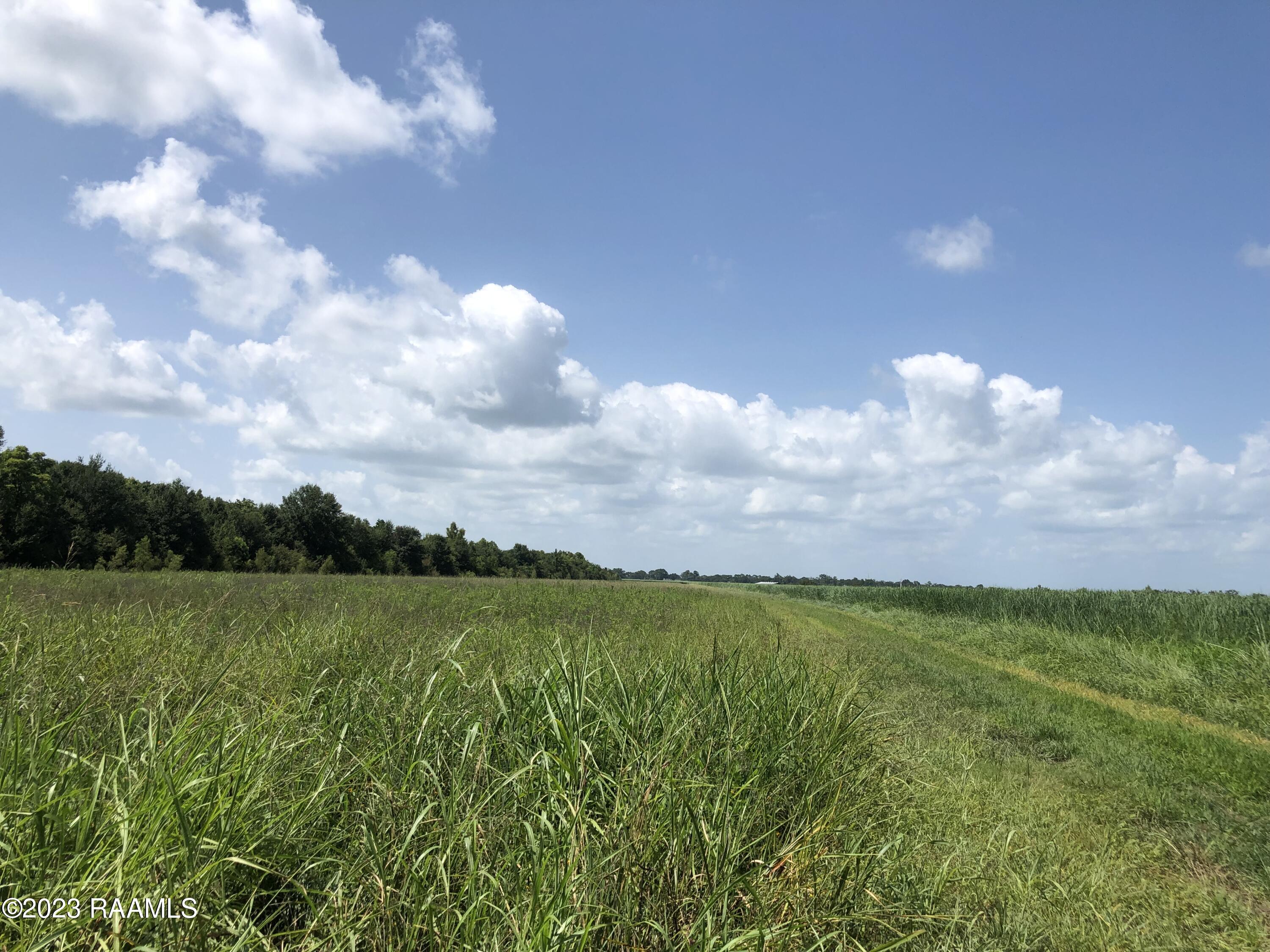 Tbd Tbd Trahan & Crochet Road New Iberia, LA 70563 - Photo 5 of 22 IMG_4415