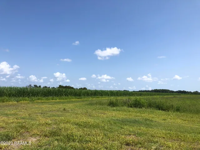 $590,000 | Tbd Tbd Trahan & Crochet Road, New Iberia, LA 70563