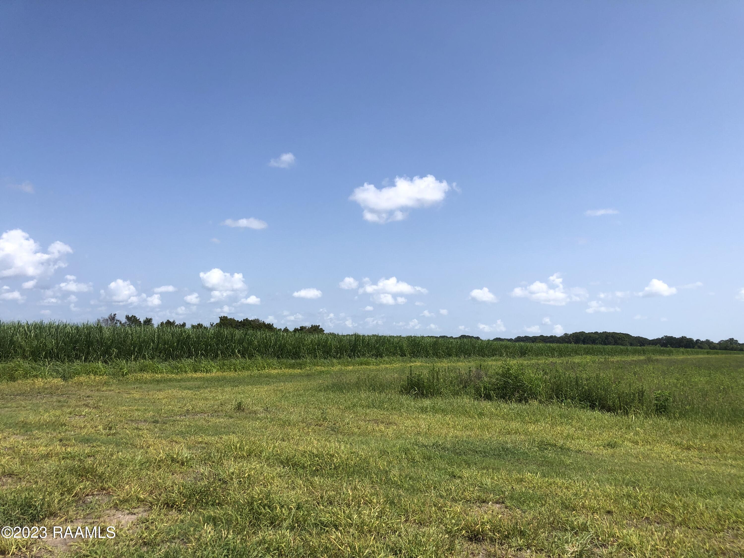 Tbd Tbd Trahan & Crochet Road New Iberia, LA 70563 - Photo 6 of 22 IMG_4414