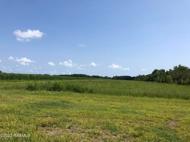 $590,000 | Tbd Tbd Trahan & Crochet Road, New Iberia, LA 70563