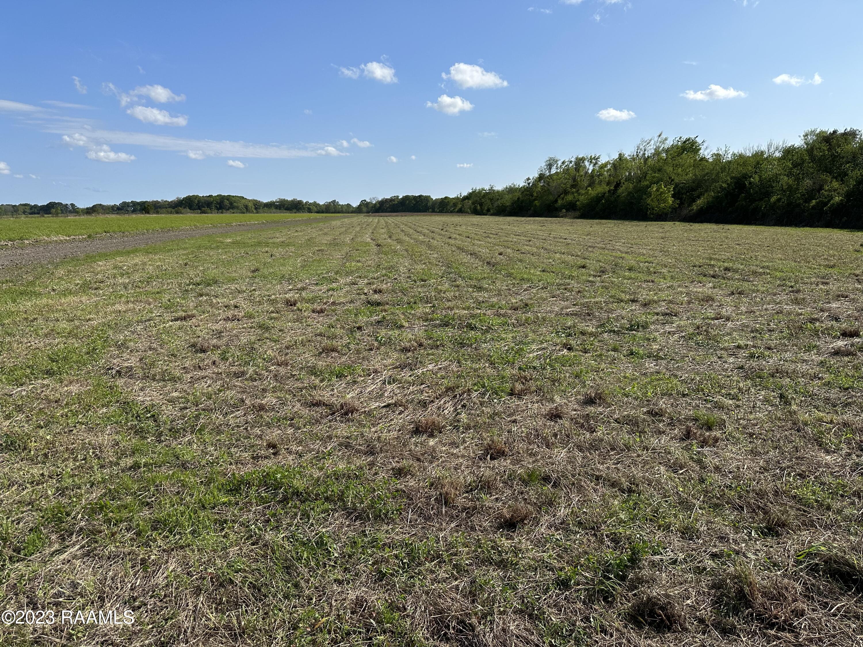 Tbd Tbd Trahan & Crochet Road New Iberia, LA 70563 - Photo 9 of 22 IMG_5383