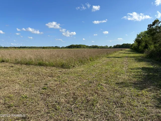 $590,000 | Tbd Tbd Trahan & Crochet Road, New Iberia, LA 70563