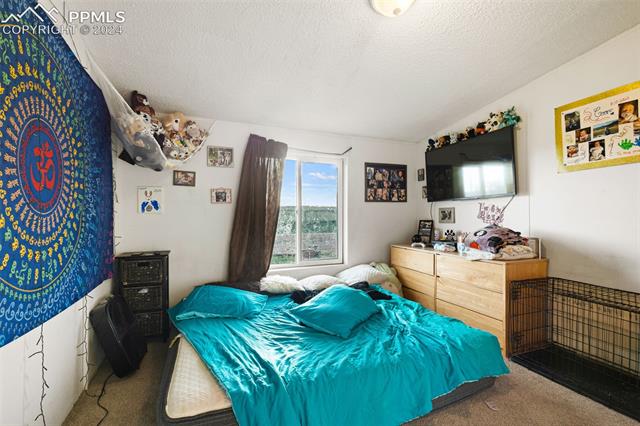 36015 Corona Road Yoder, CO 80864 - Photo 23 of 27 Bedroom featuring a textured ceiling and carpet flooring