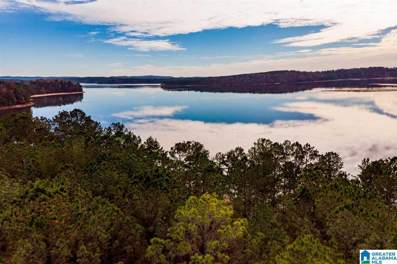Lot # Fox Creek Trace, Unit 9 Lineville, AL 36266 - Photo 12 of 18