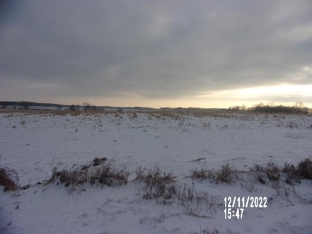 Xxx 255th Avenue Long Prairie, MN 56347 - Photo 1 of 1 Gallery Image 1