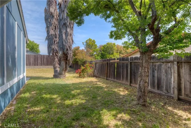 a view of backyard with tree