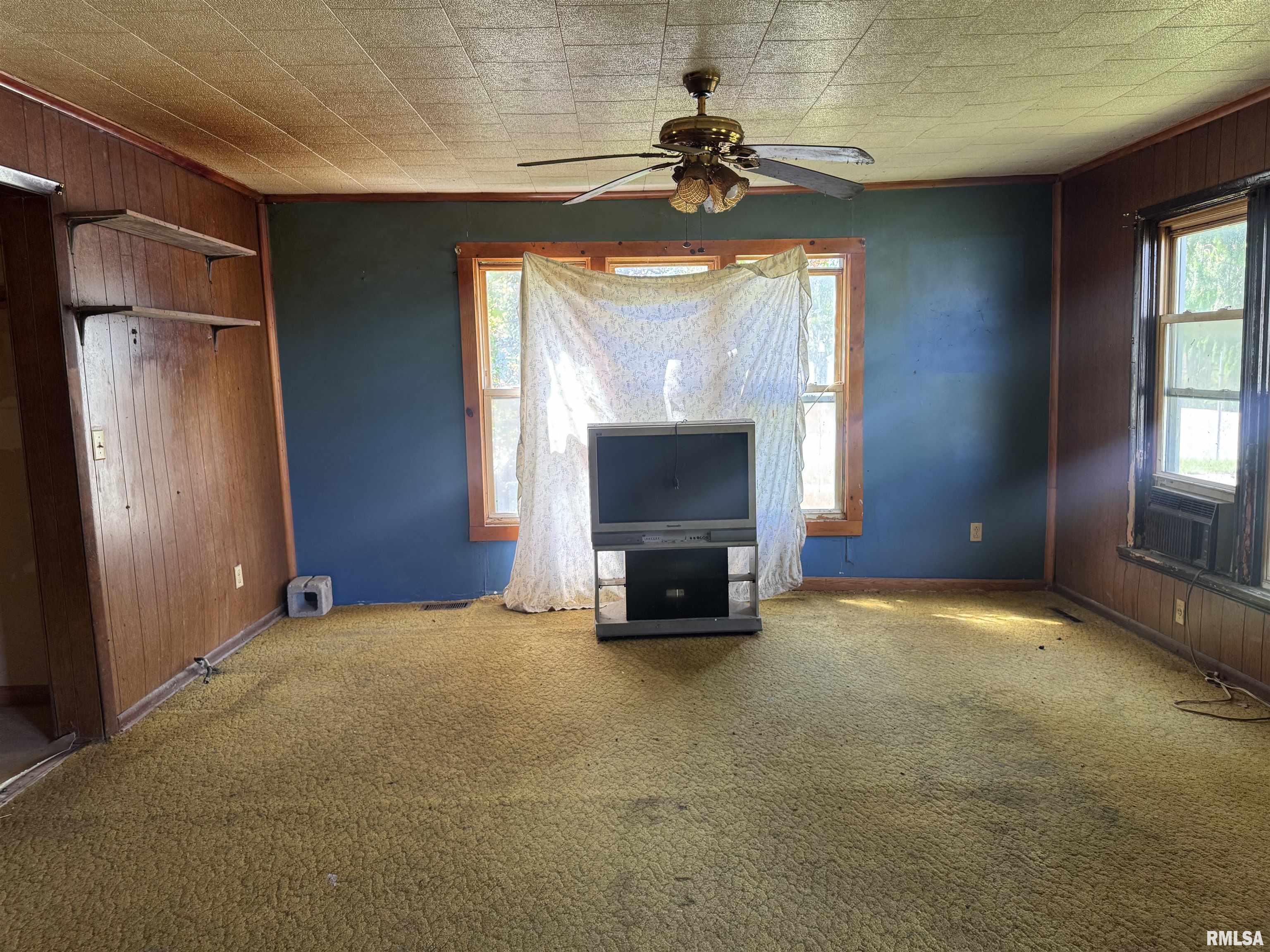 806 East Main Street Cuba, IL 61427 - Photo 3 of 4
