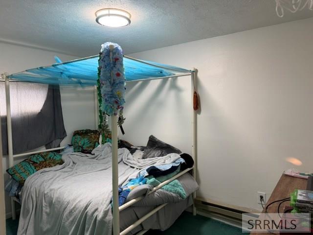 643 West 100 Road South Blackfoot, ID 83221 - Photo 35 of 39 Rental bed 2