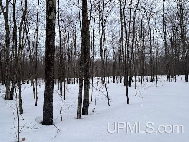 53554 North Superior Road Houghton, MI 49931 - Photo 27 of 41