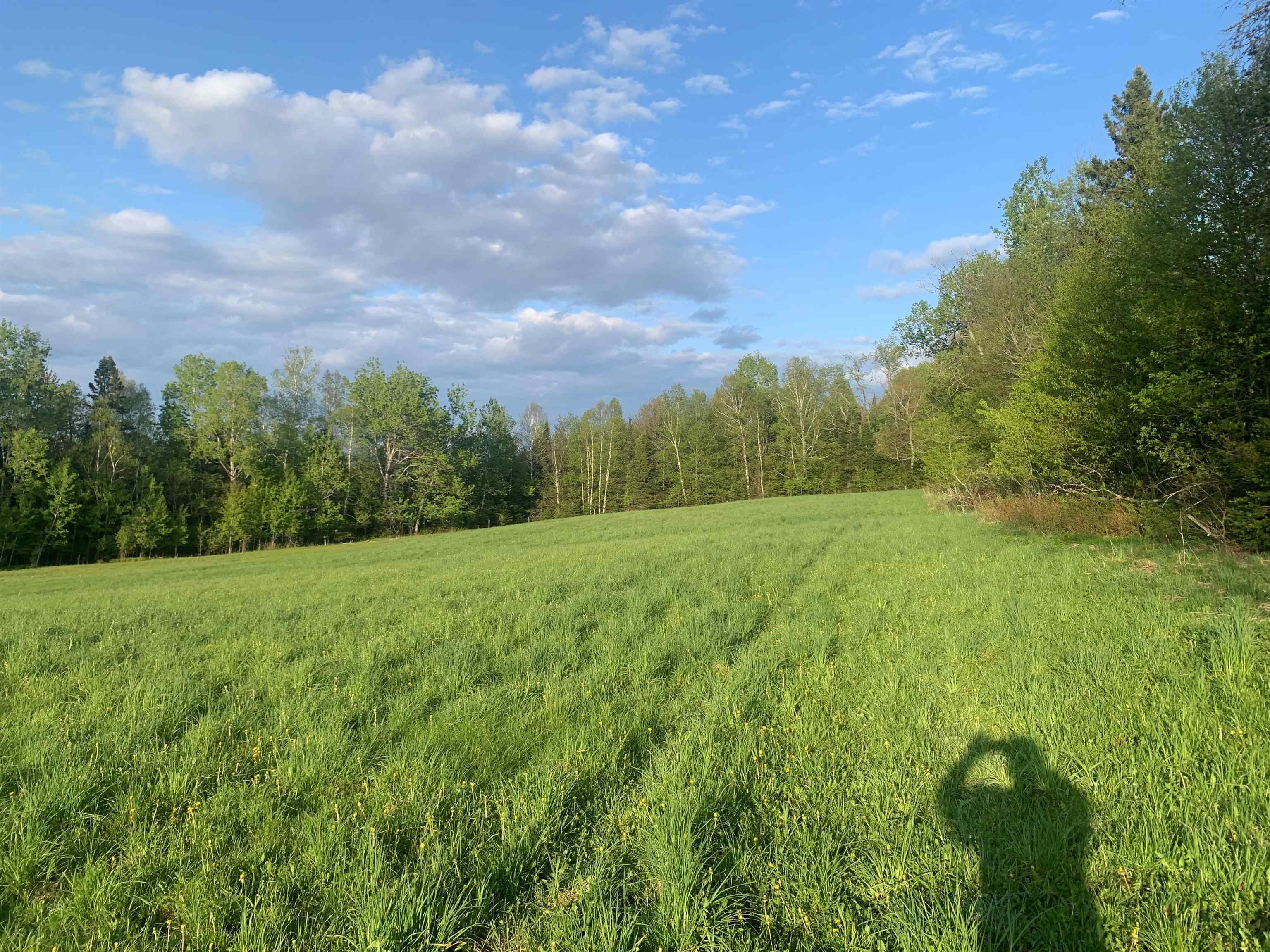 Lot 3 Titus Hill Road Colebrook, NH 03576 - Photo 4 of 4