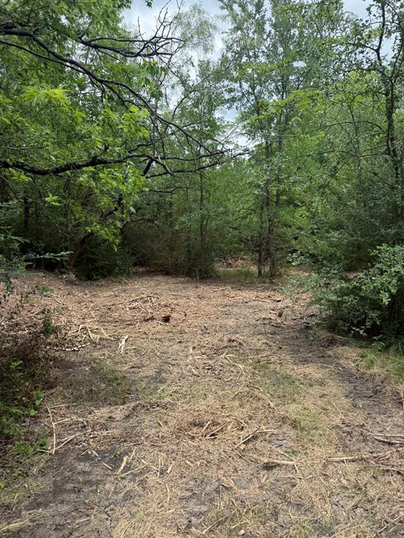 Tbd McKnight Road Ferris, TX 75125 - Photo 16 of 26
