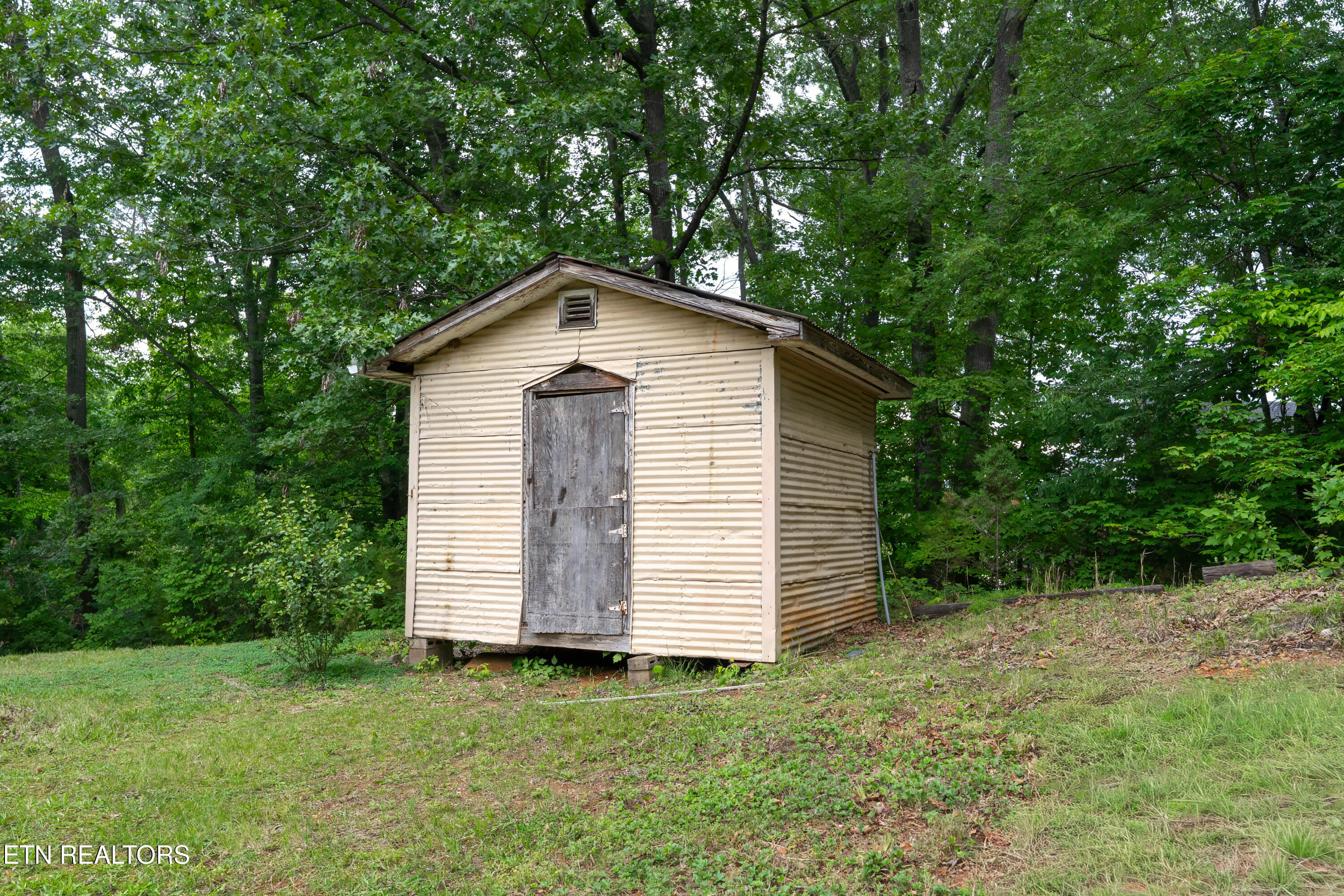 208 Morning Cove Road Kingston, TN 37763 - Photo 8 of 23 _DSC2040-Edit