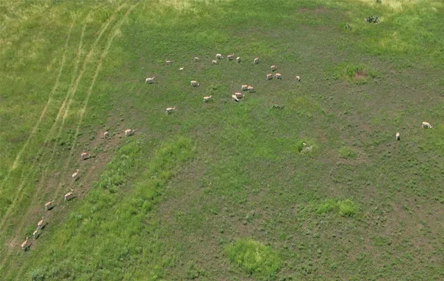 a view of swimming pool with a yard