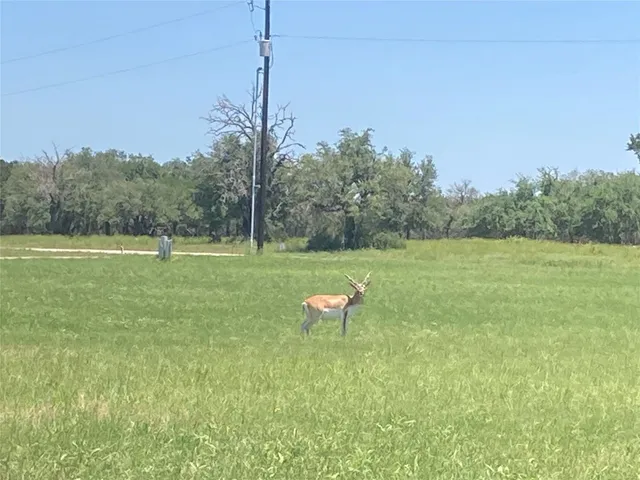 $377,000 | Tbd Tbd River Shoals Drive, Kempner, TX 76539