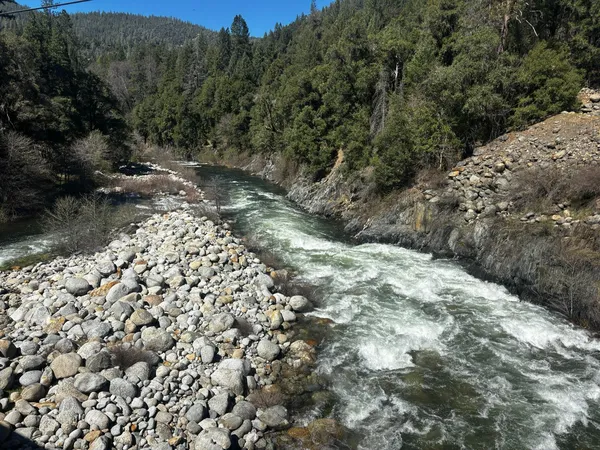 a view of a large yard with lots of green space