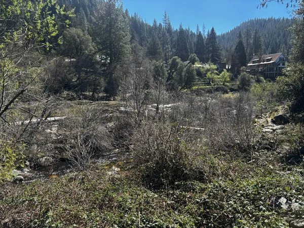 a view of a park with large trees