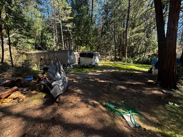 a view of a yard with large trees