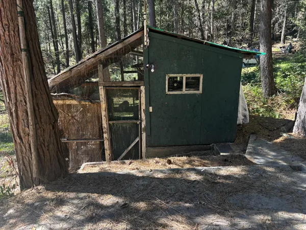 a view of a yard with large trees