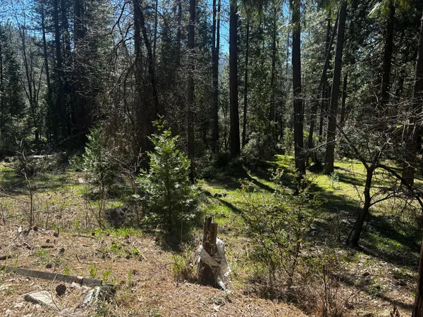 a view of a backyard with chairs