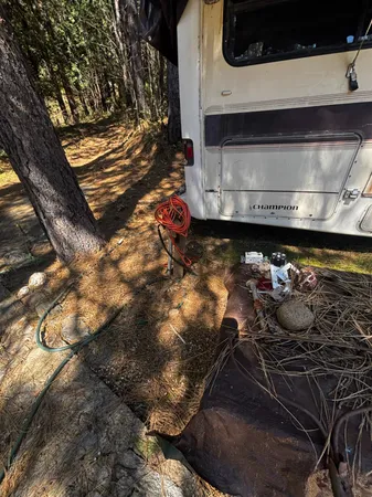 a view of yard covered with snow