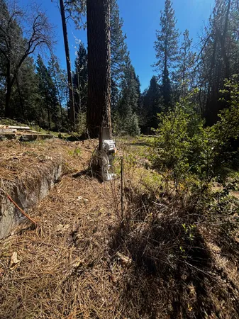 $150,000 | 30927 Relief Hill Road, Nevada City, CA 95959