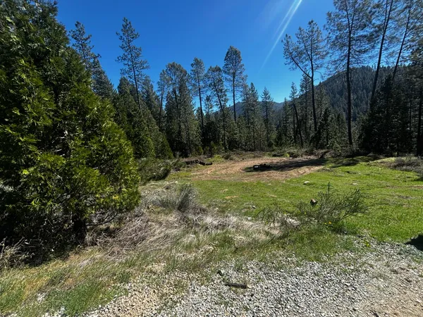 a big yard with lots of green space and deers