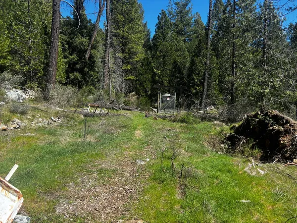 a view of a backyard with chairs and a tree