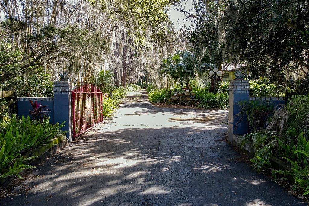 3751 Southeast 3rd Avenue Ocala, FL 34480 - Photo 5 of 100 a view of a street with trees and bushes