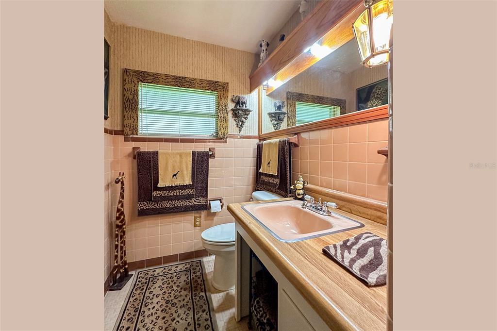 3751 Southeast 3rd Avenue Ocala, FL 34480 - Photo 55 of 100 a bathroom with a sink a toilet and a mirror