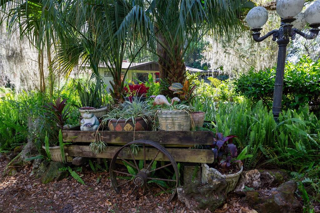3751 Southeast 3rd Avenue Ocala, FL 34480 - Photo 82 of 100 a backyard of a house with lots of green space