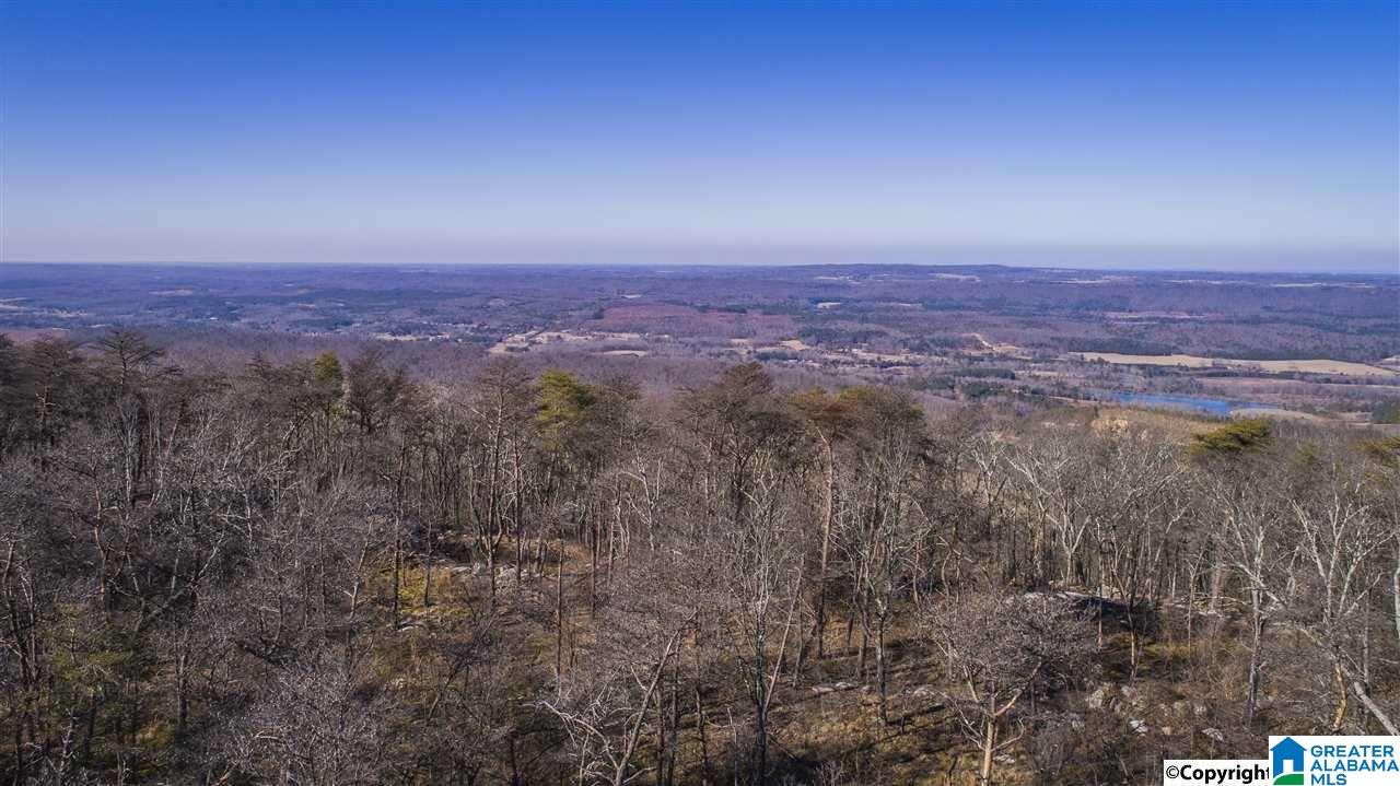 89 North County Road Mentone, AL 35984 - Photo 5 of 18