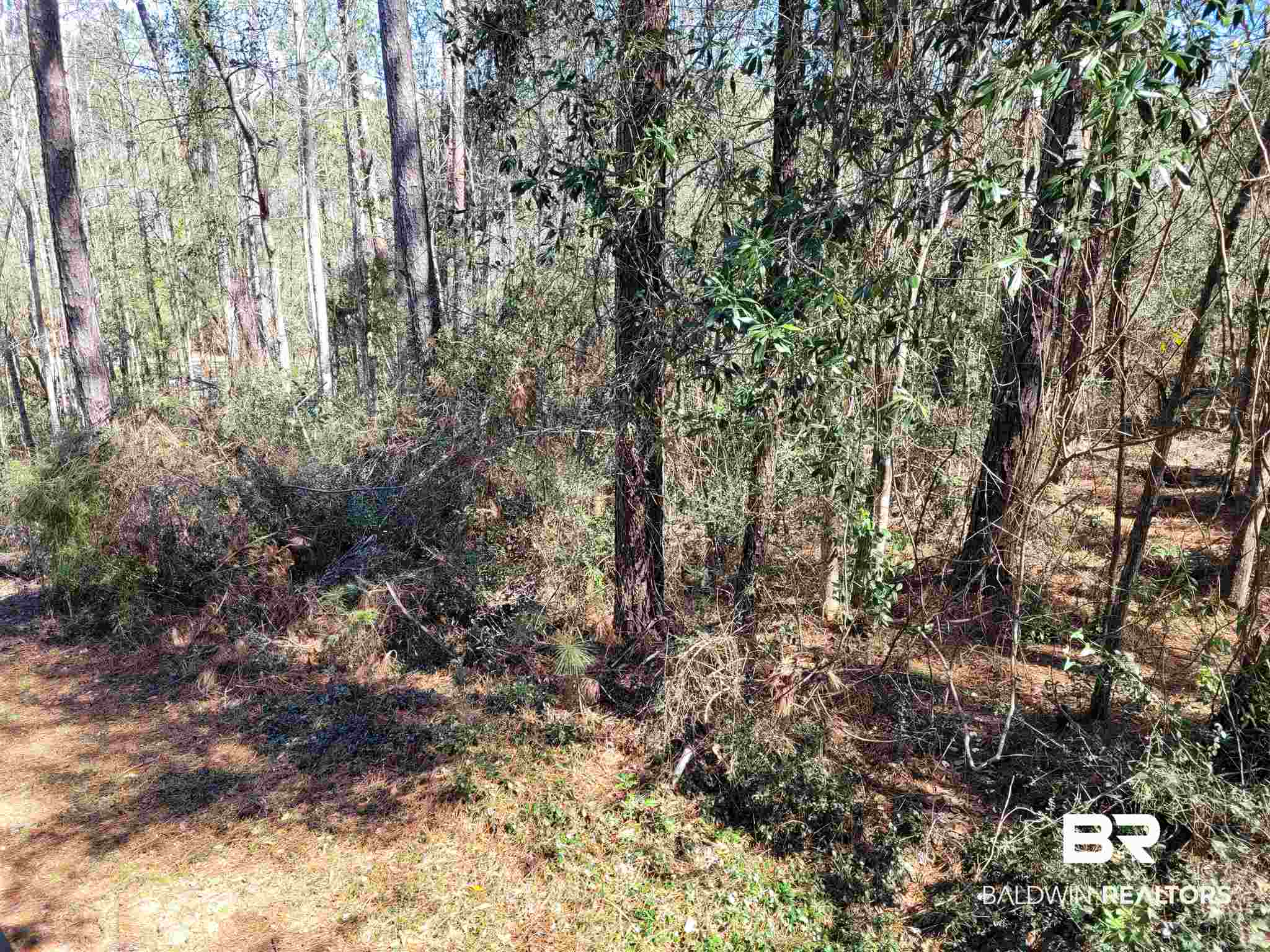 102 Bell Circle Daphne, AL 36526 - Photo 19 of 20