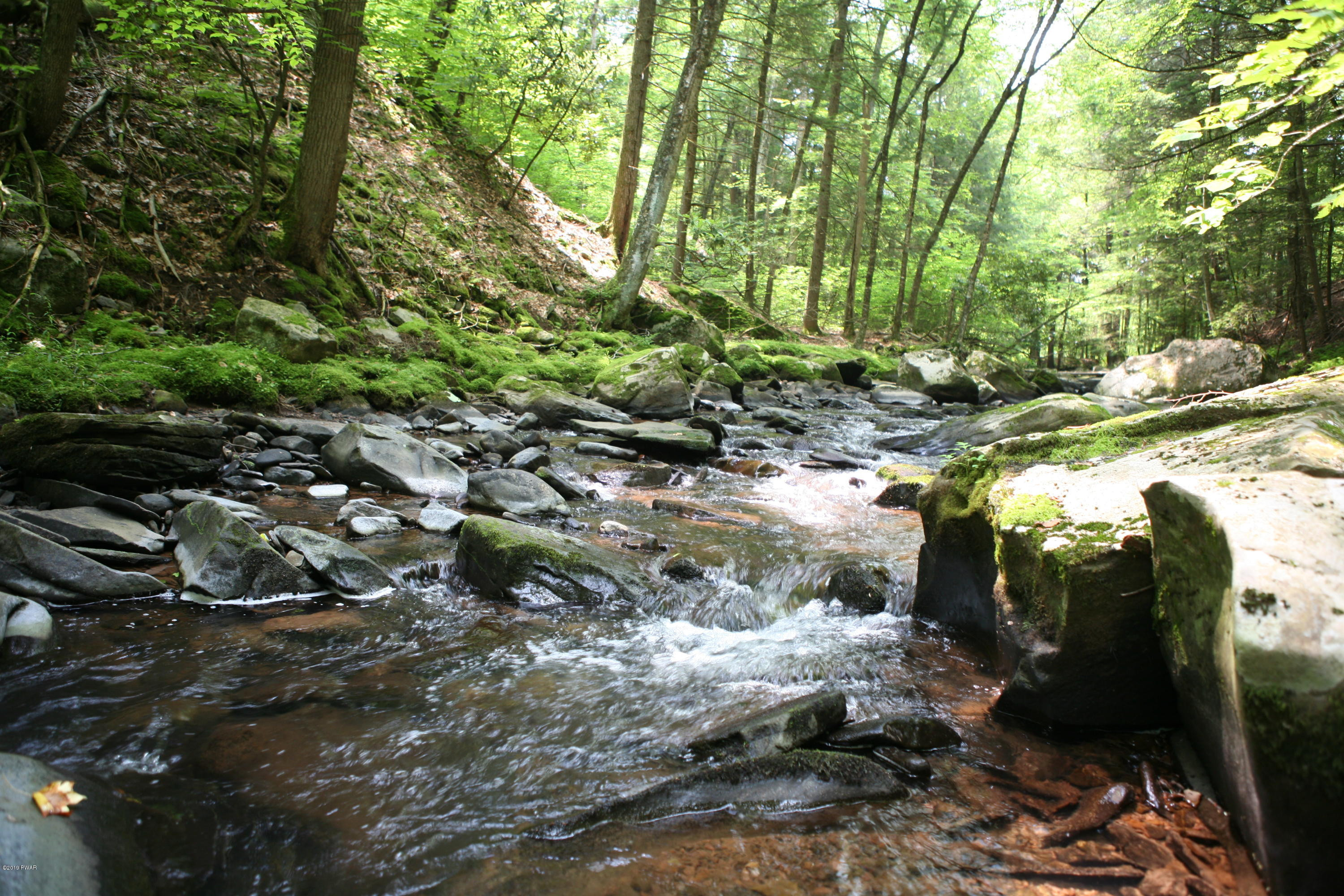184 Paint Mine Road Damascus, PA 18415 - Photo 3 of 15