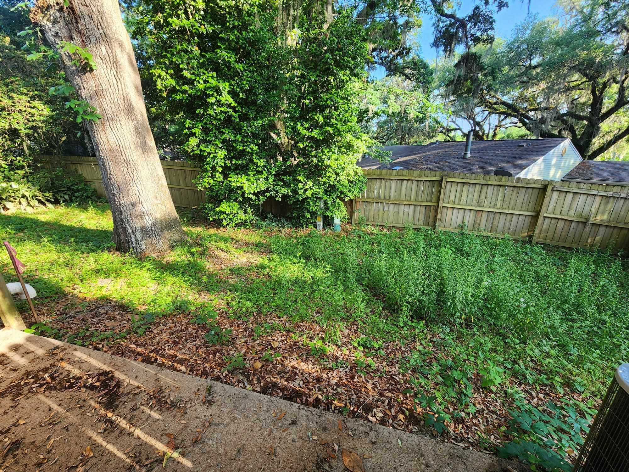 1539 Paul Russell Road, Unit 2 Tallahassee, FL 32301 - Photo 4 of 17