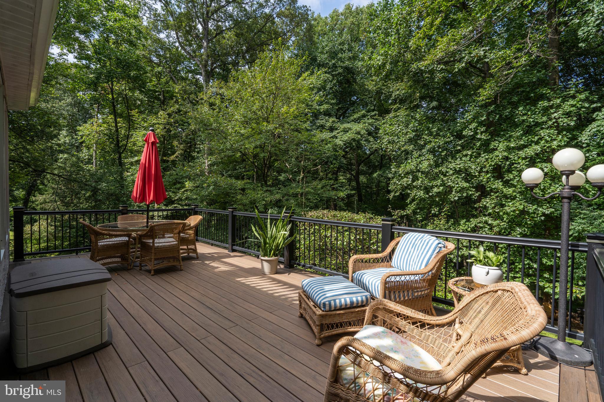 124 Marple Road Haverford, PA 19041 - Photo 44 of 55 Main Floor Trex Deck - 12x24
