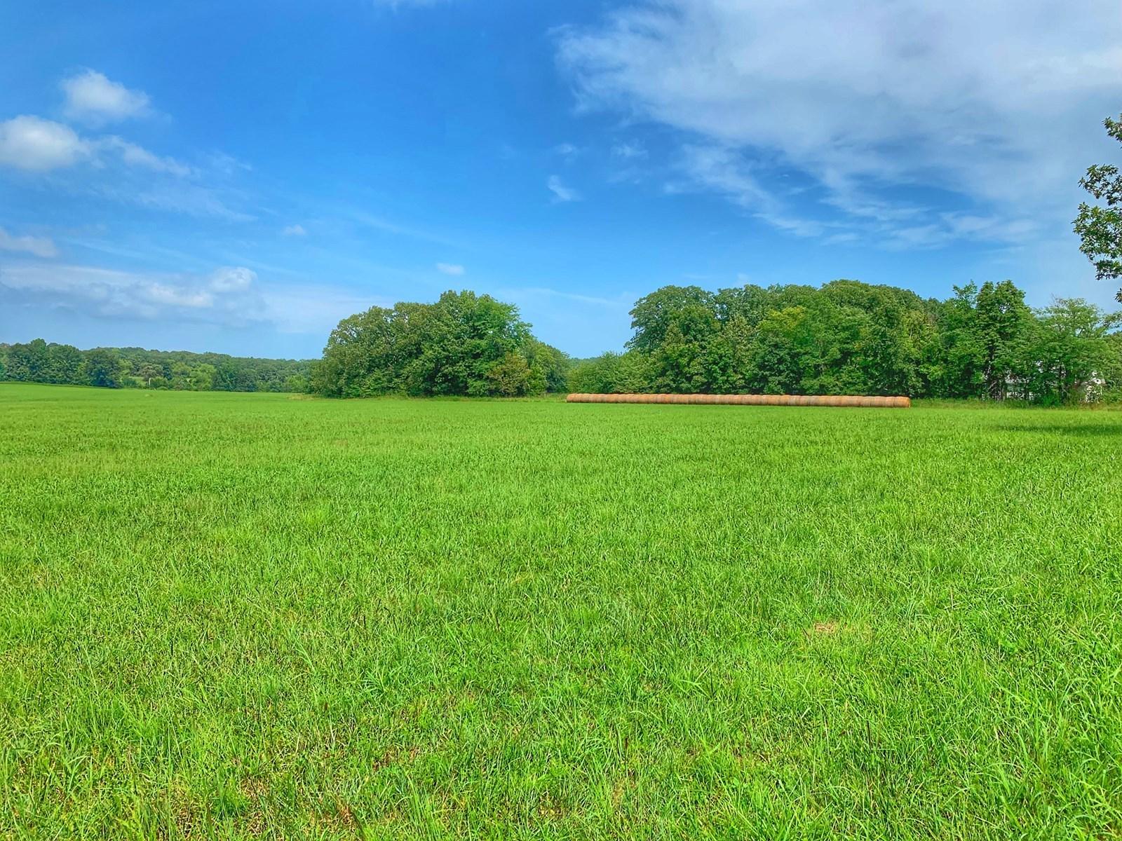 0 South 80th Road Bolivar, MO 65613 - Photo 1 of 1 27c5aef3-c8b0-4d6a-8ee4-63cc1c8ed379