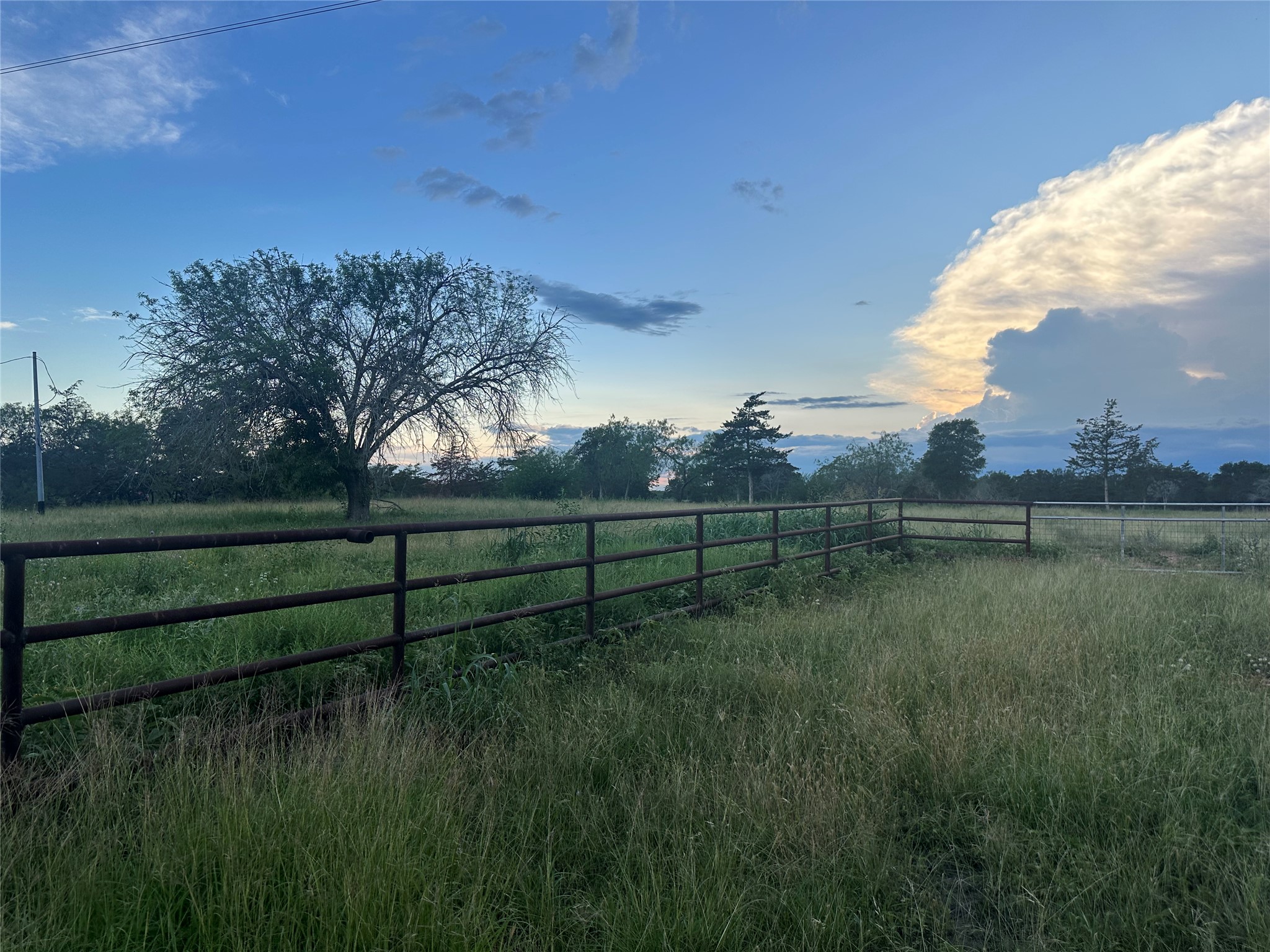 1403 Armstrong Derry Road Waelder, TX 78959 - Photo 2 of 11 a view of a backyard