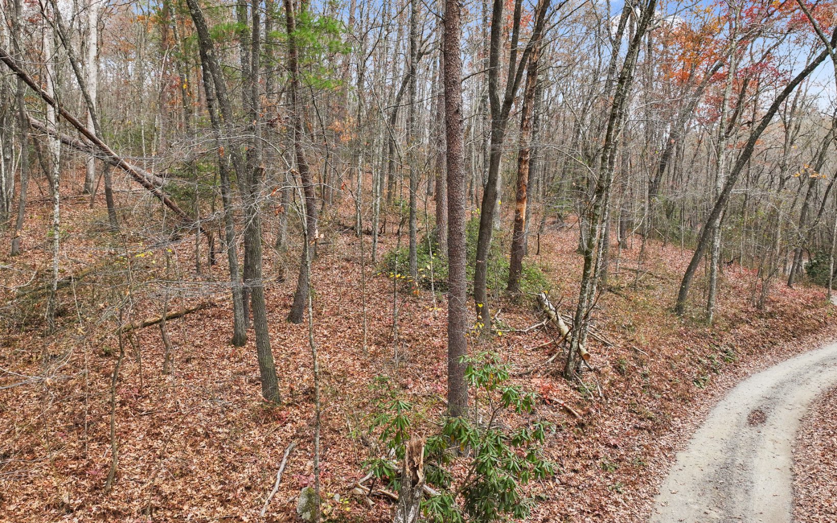 52 Brookhaven Lane Blue Ridge, GA 30513 - Photo 12 of 20 Additional View