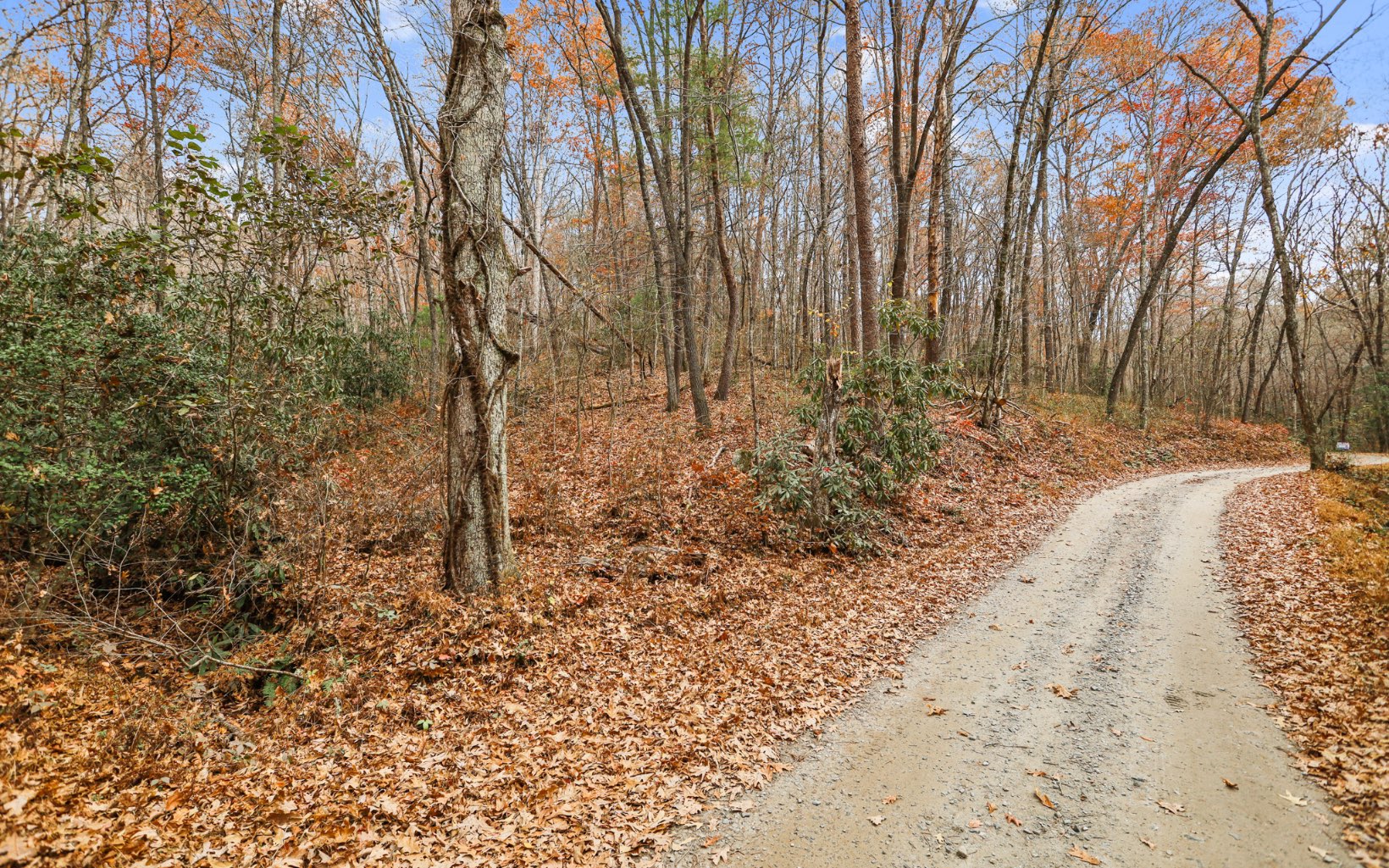 52 Brookhaven Lane Blue Ridge, GA 30513 - Photo 15 of 20 Additional View