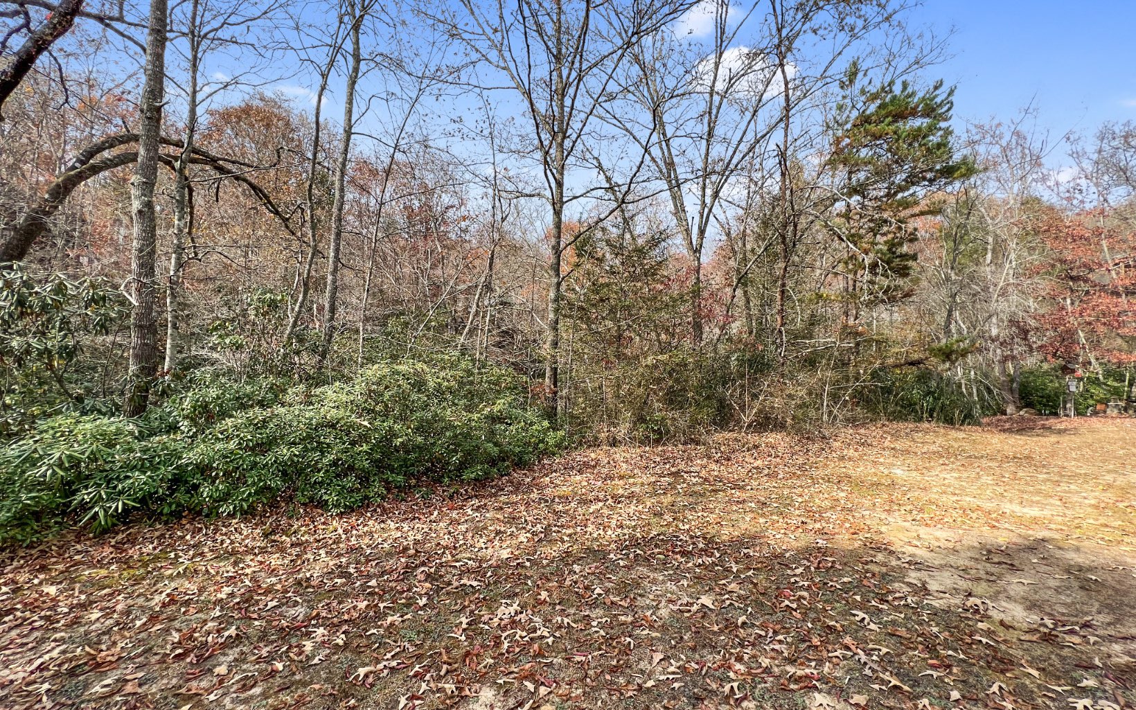 52 Brookhaven Lane Blue Ridge, GA 30513 - Photo 19 of 20 Additional View