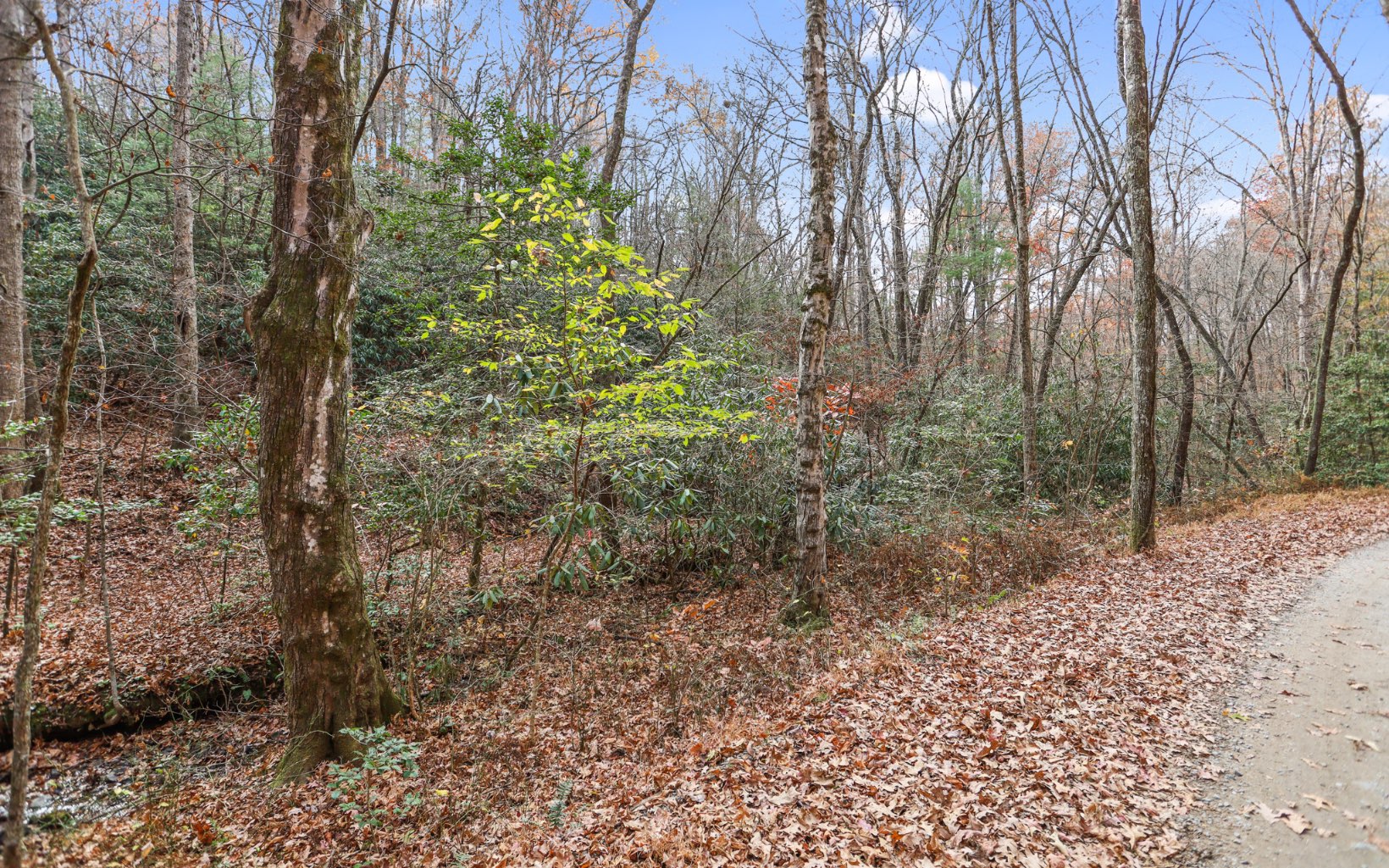 52 Brookhaven Lane Blue Ridge, GA 30513 - Photo 9 of 20 Additional View