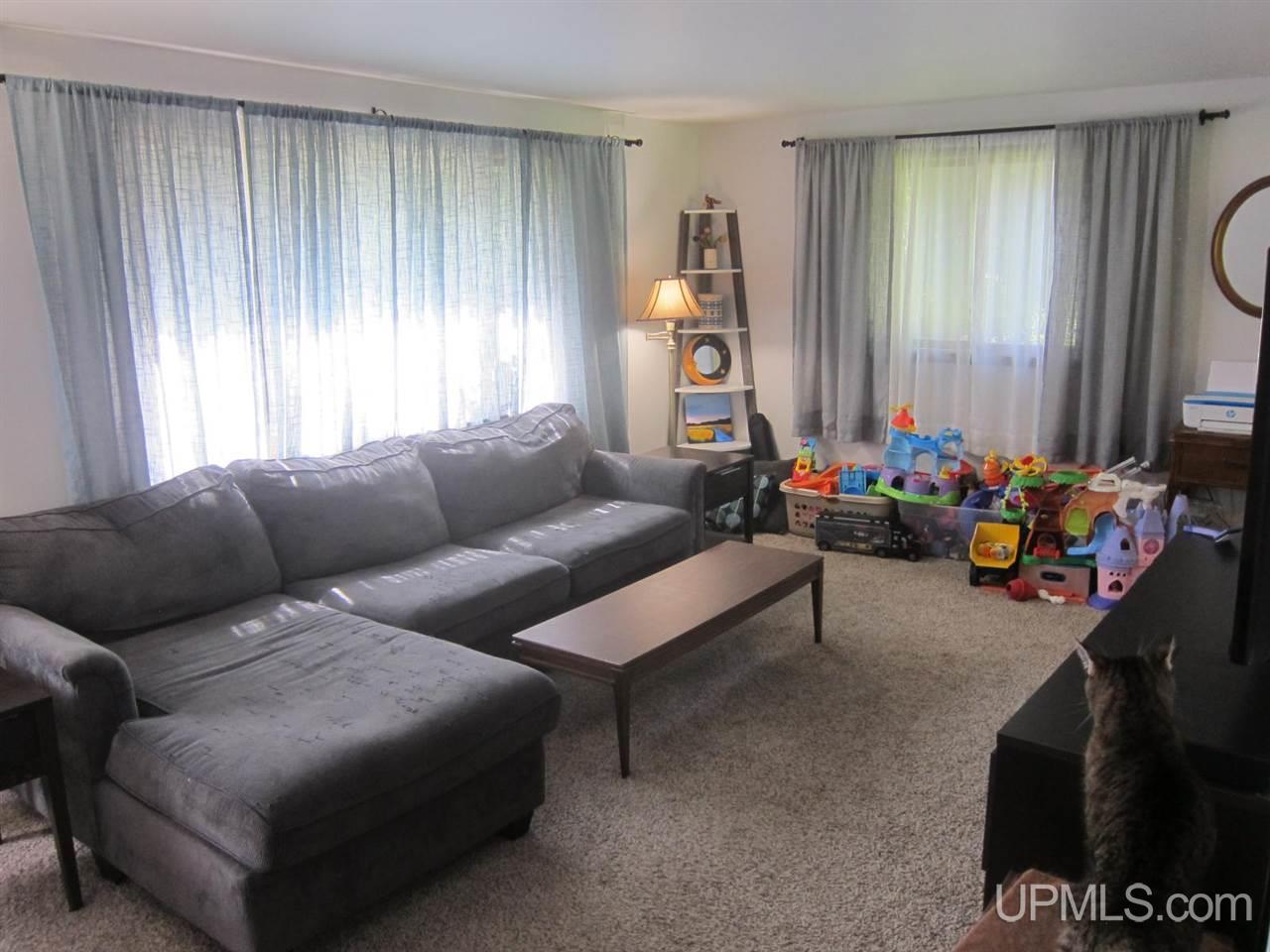 717 Waterworks Road Crystal Falls, MI 49920 - Photo 3 of 18 Gallery Image 3