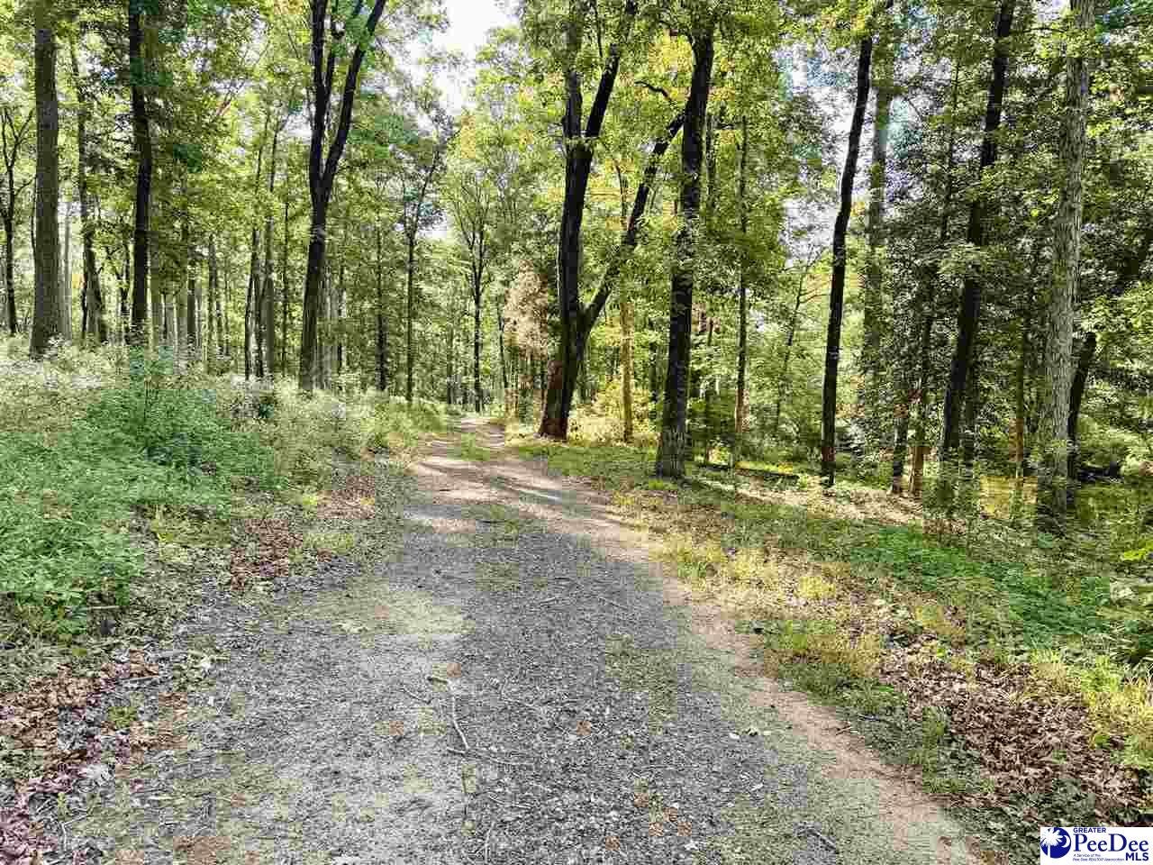 60-acres West Freight Road Florence, SC 29501 - Photo 17 of 27 Gallery Image 17